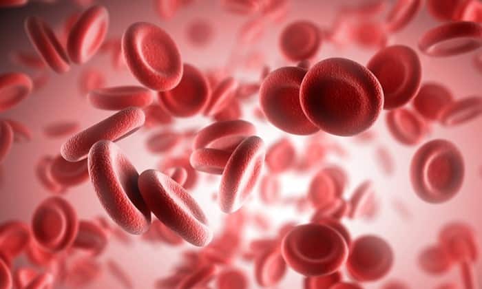 Гірудотерапія: використання п’явок при геморої
