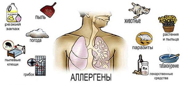 5 способів лікування алергічного риніту при вагітності