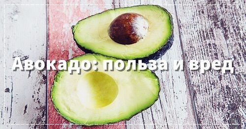 Авокадо користь і шкода для організму зеленого золота