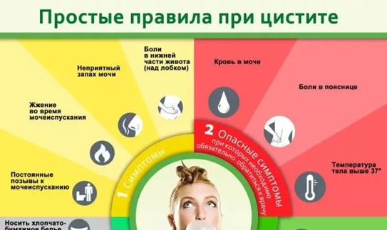 Бісептол при циститі як приймати дозування