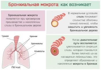 Бронхіт і пневмонія: відмінності, лікування, може бронхіт перейти в запалення легенів