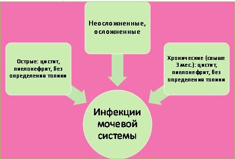 Чому з’являється зелена сеча