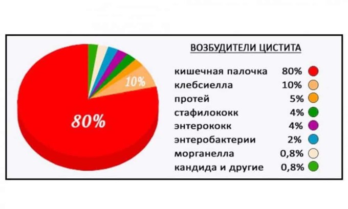 Цистит не проходить і не виліковується: довго (тиждень, місяць), чому і що робити