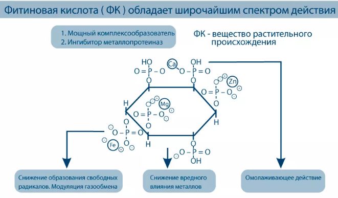 Фитиновая кислота: у яких продуктах міститься, таблиця