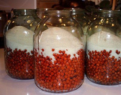 Горобинова настоянка у домашніх умовах рецепт