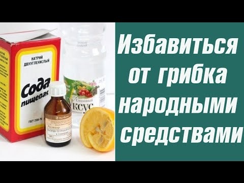 Грибок нігтів лікування народними засобами грибка на ногах