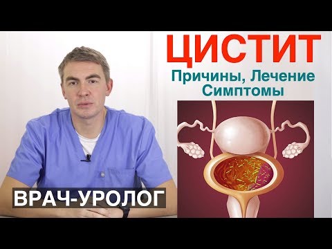 Хто ефективніше лікує цистит терапевт гінеколог або уролог