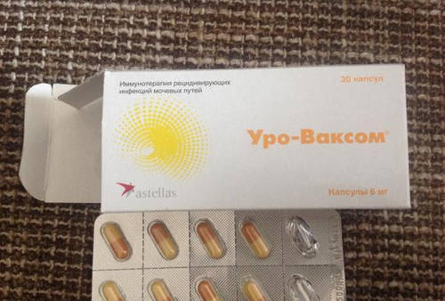 Лікування циститу оро ваксомом – Цистит