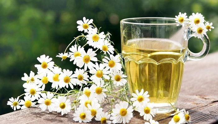 Лікування фіброаденоми молочної залози народними засобами