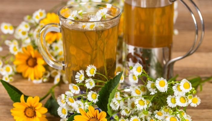 Лікування фіброаденоми молочної залози народними засобами