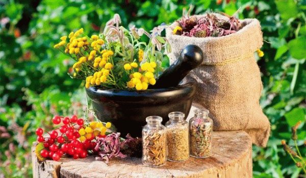Лікування молочниці народними засобами у жінок в домашніх умовах