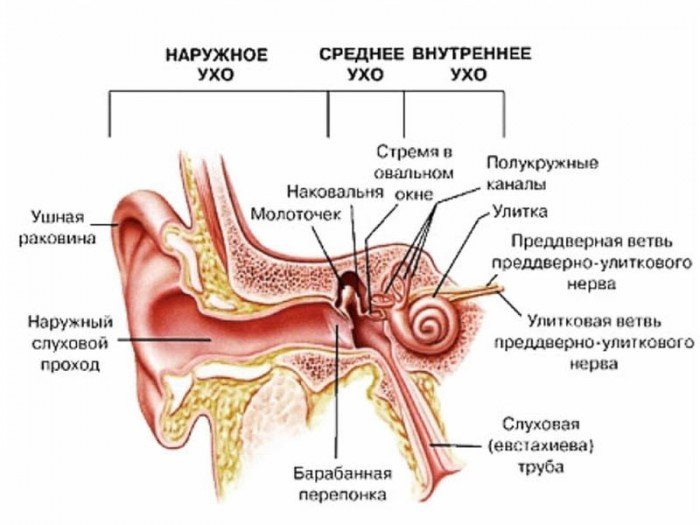 Лікування отиту при вагітності