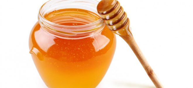 Лікування печінки медом – Мед при захворюванні печінки