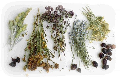 Лікування раку легенів народними засобами