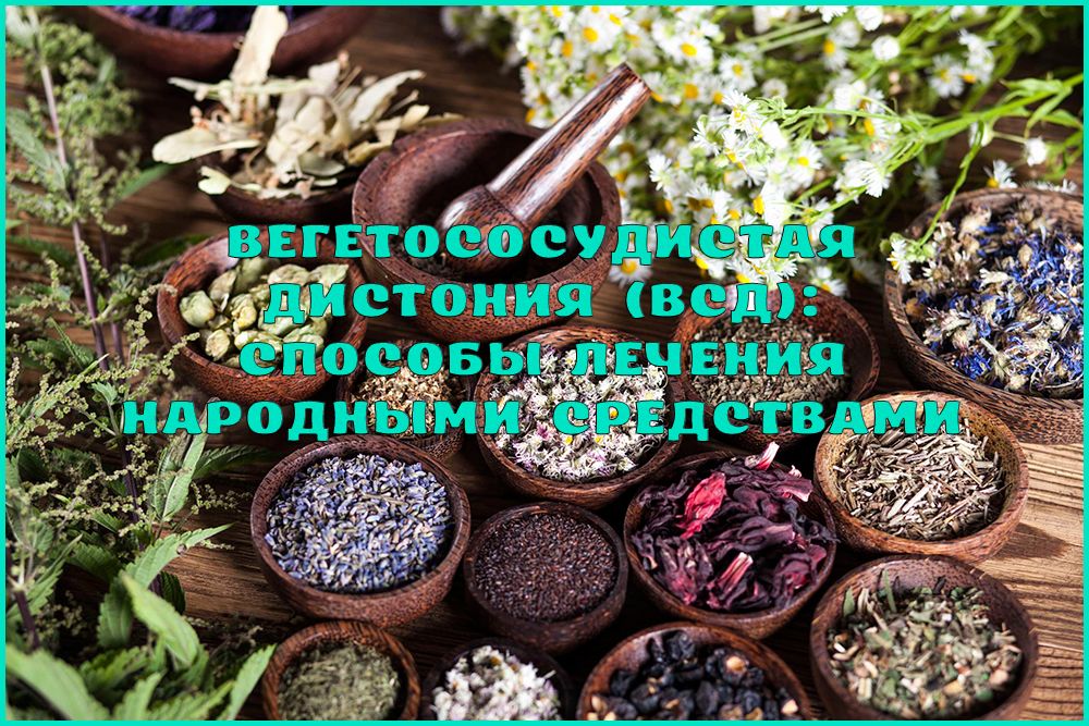 Лікування вегетосудинної дистонії народними засобами
