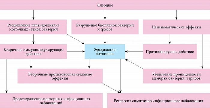 Лизобакт для дітей ?: інструкція по застосуванню до 1-3 років і старше, аналоги засоби