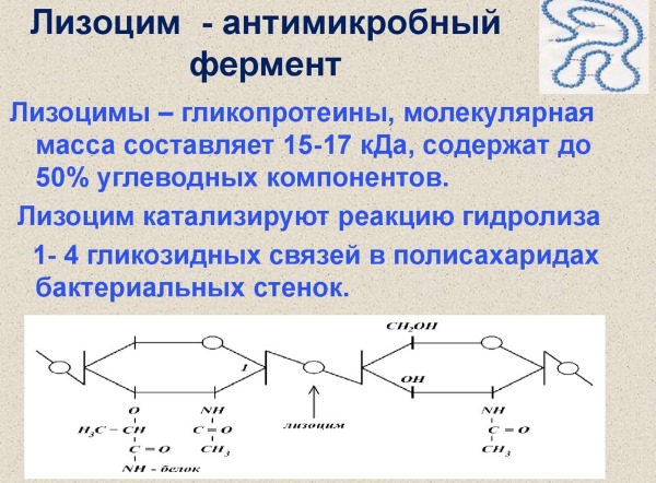 Лизобакт для дітей ?: інструкція по застосуванню до 1-3 років і старше, аналоги засоби