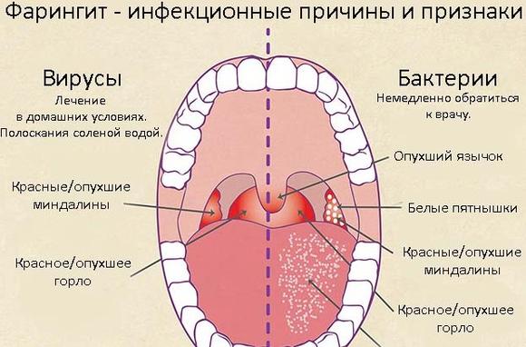 Максиколд Лор інструкція по застосуванню