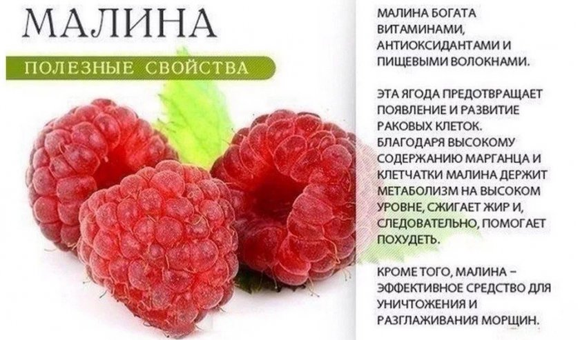 Малинове варення: властивості, користь при лікуванні застуди, ГРВІ, як вживати, протипоказання