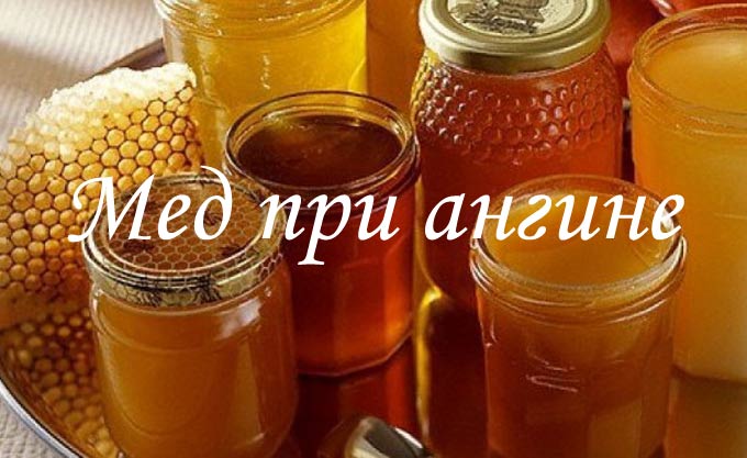 Чи можна мед при ангіні – лікування горла в домашніх умовах