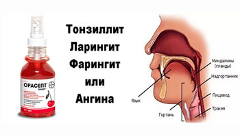 Чи можна Орасепт при вагітності