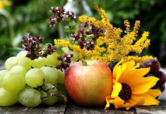 Народні рецепти лікування для себе