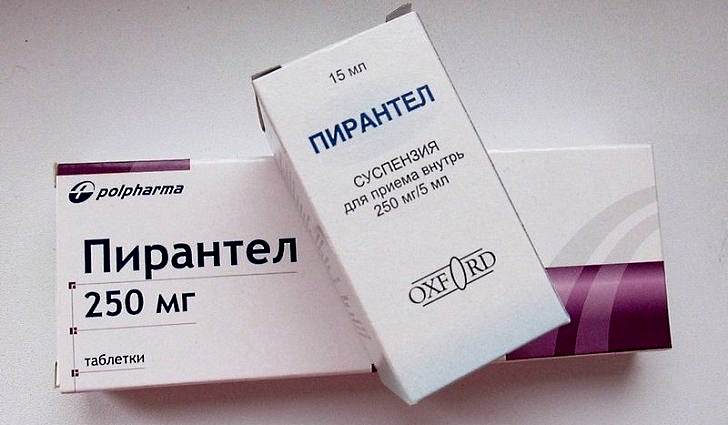 Народні засоби від глистів у дорослих, як позбутися від глистів народними засобами