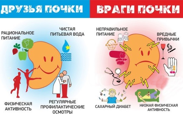 Особливості харчування при одночасному розвитку циститу і пієлонефриту