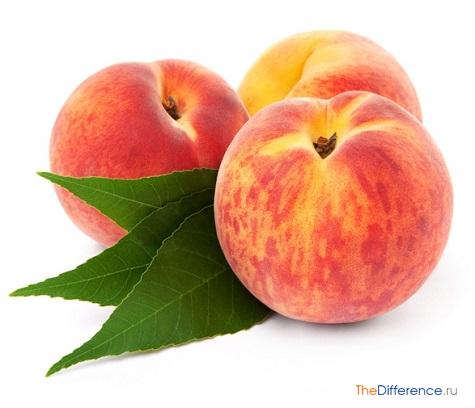 Персик або нектарин Що корисніше Персик або нектарин Що корисніше