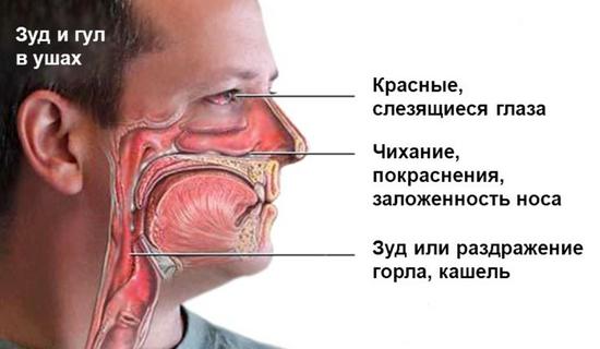 Погіршення нюху і зміна сприйняття запахів