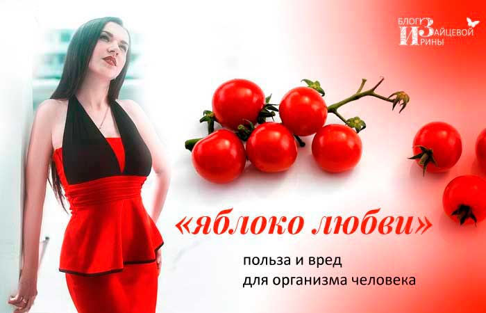 Помідори користь і шкода для здоров’я організму