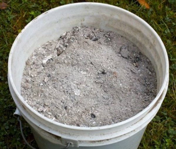 Попелиця на зливі як боротися народні засоби