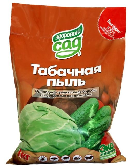 Попелиця на зливі як боротися народні засоби