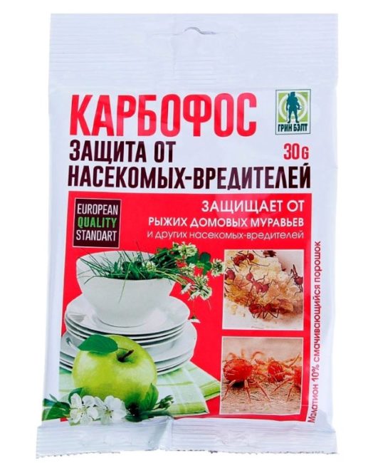 Попелиця на зливі як боротися народні засоби