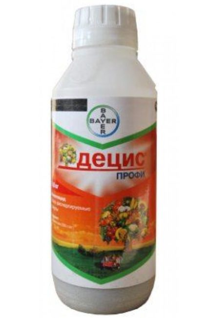 Попелиця на зливі як боротися народні засоби