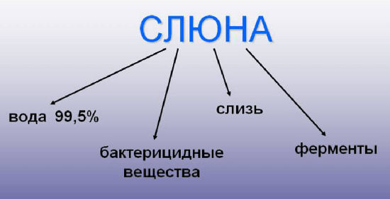 Причини симптоми і лікування запалення слинних залоз сиалоаденит