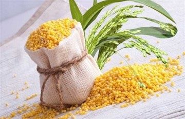 Пшоно при циститі: способи застосування, рецепти для лікування