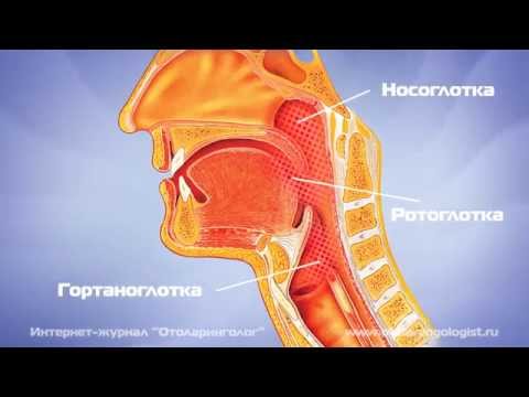 Симптоми субатрофического фарингіту і методи лікування