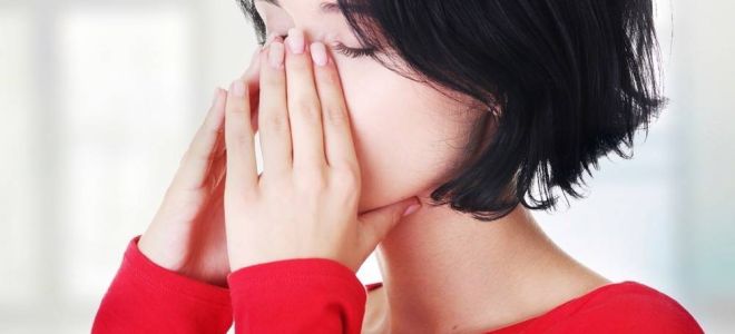 Співустя гайморової пазухи важлива частина порожнини носа