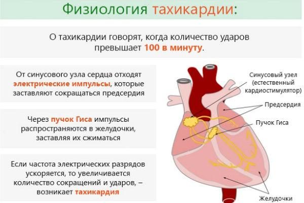 Тахікардія – лікування народними засобами