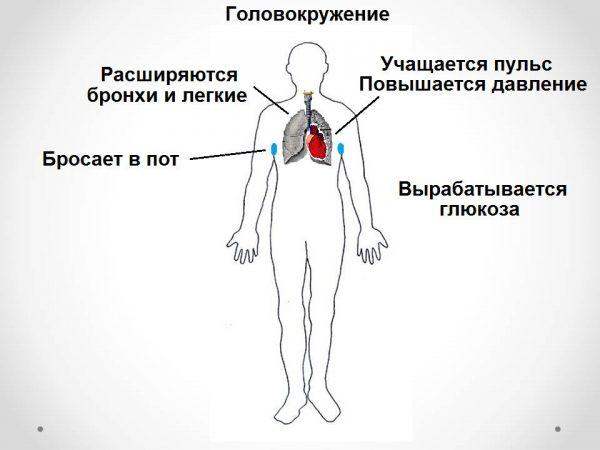 Тахікардія – лікування народними засобами
