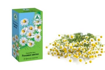 Трави від здуття живота і газоутворення народні засоби від метеоризму