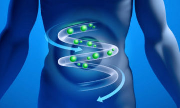 Трави від здуття живота і газоутворення народні засоби від метеоризму