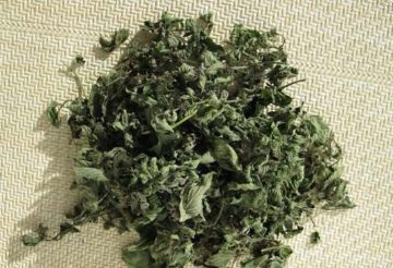 Трави від здуття живота і газоутворення народні засоби від метеоризму