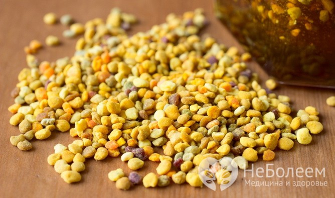 Використання акацієвого меду в лікувальних цілях Продукція бджільництва