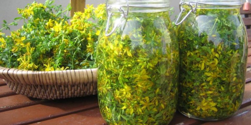 Виразка шлунка Методи лікування народними засобами