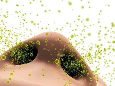 Як лікувати алергічний риніт народними засобами в домашніх умовах