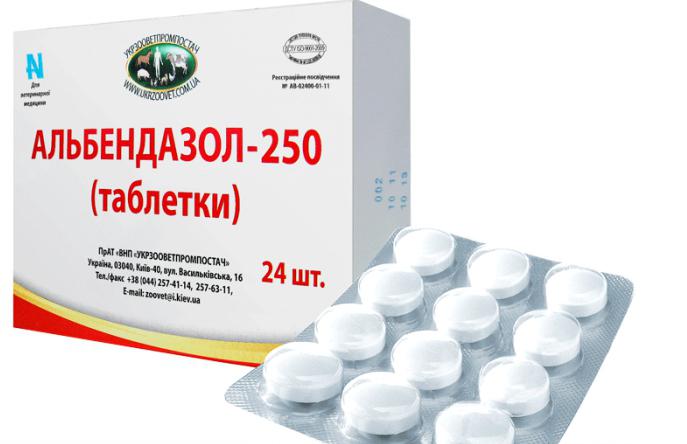 Як позбутися лямблій назавжди народними засобами
