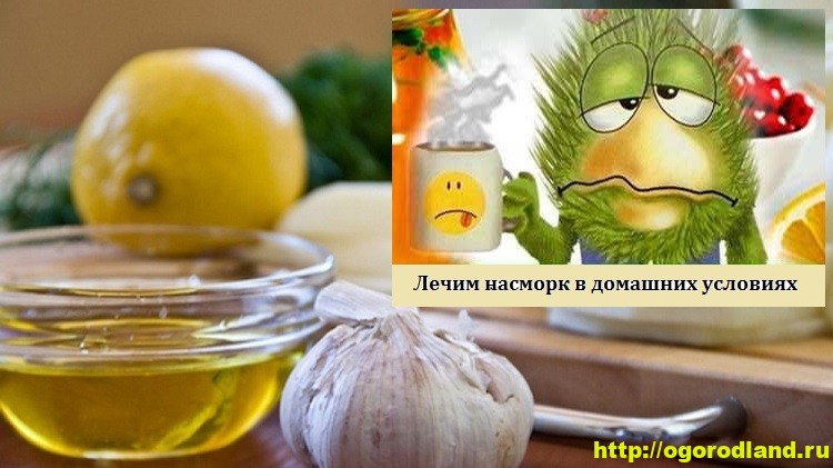 Як швидко і легко вилікувати нежить у домашніх умовах народними засобами
