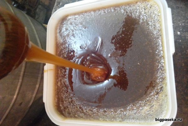 Як виглядає гречаний мед і його відмінні риси